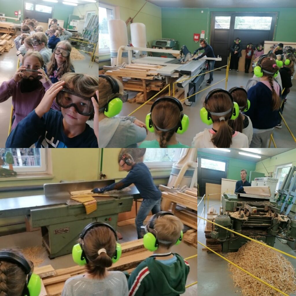 Uczniowie poznają różne gatunki drewna, obserwują obróbkę drewna przy użyciu maszyn tartacznych i stolarskich mając ochronne okulary oraz słuchawki. Wykonanie pracy plastyczno- technicznej z drewna: szlifowanie, wyklejanie, rysowanie na drewnie kredkami.